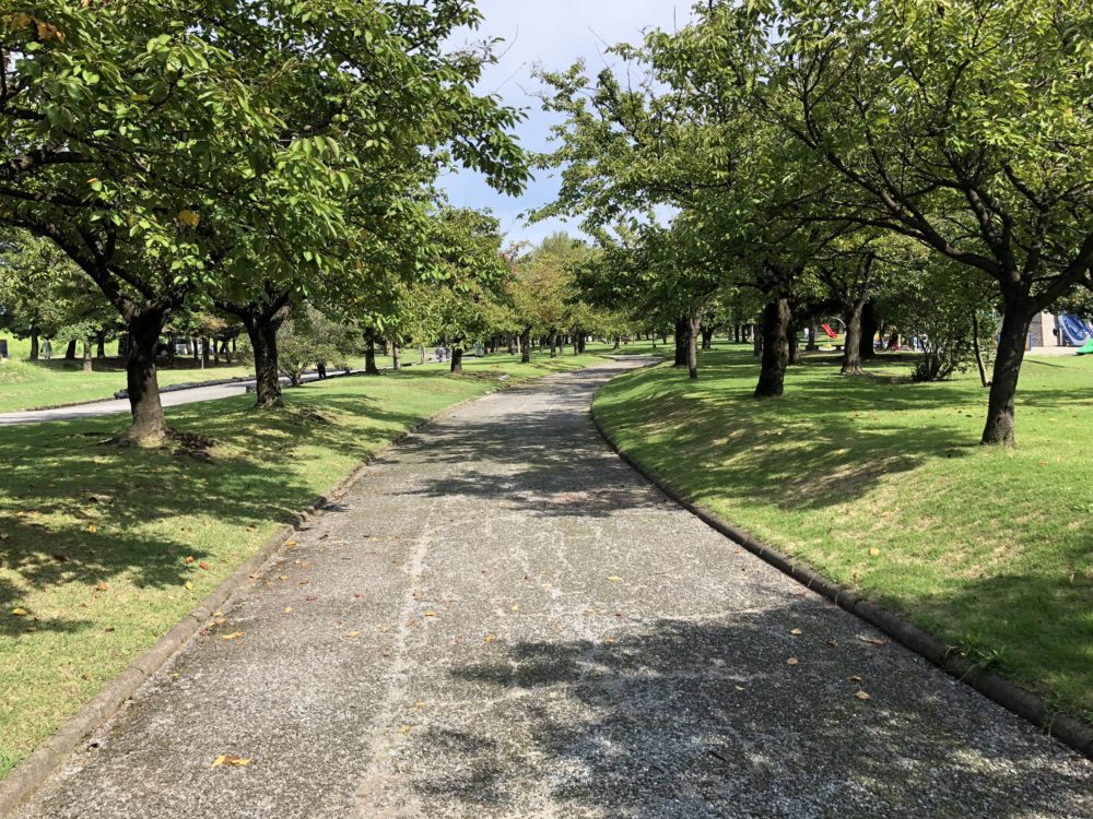 常願寺公園の歩道