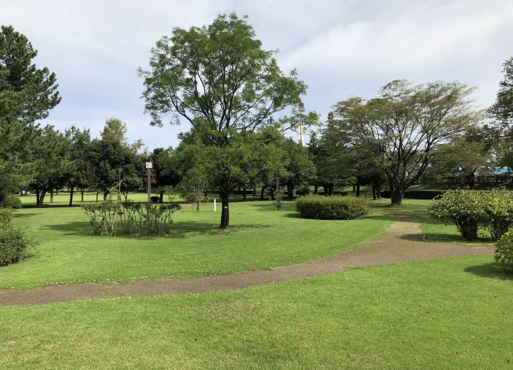 花の木広場
