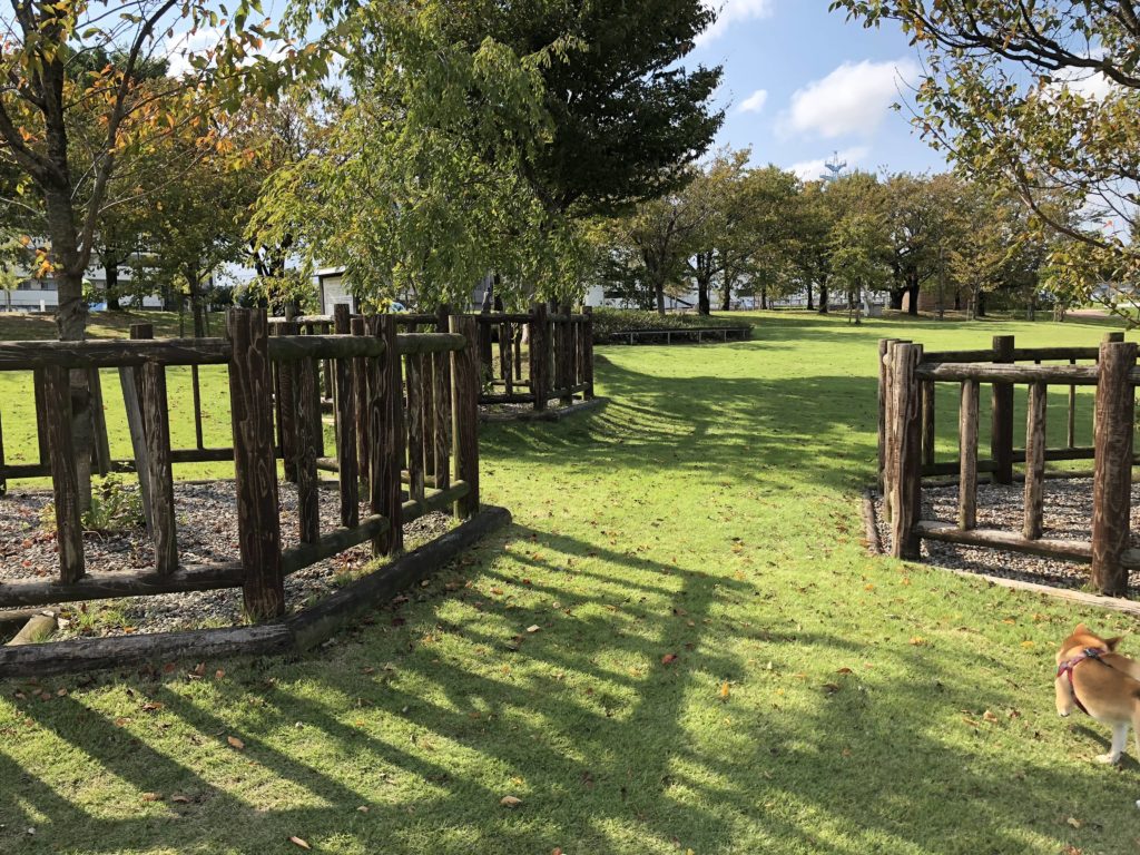 環水公園の木陰