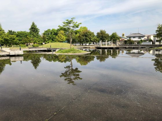 城東ふれあい公園の池の水