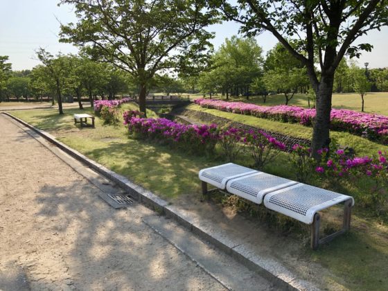 わんぱく広場のベンチ