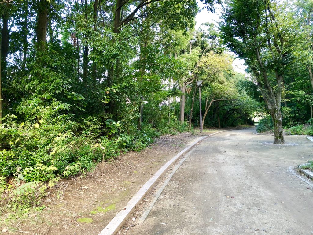 稲荷公園の木々
