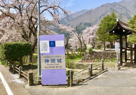 神岡城の看板と桜