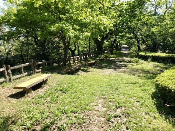 呉羽山展望台の散策コースその②