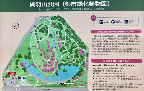 園の全体図