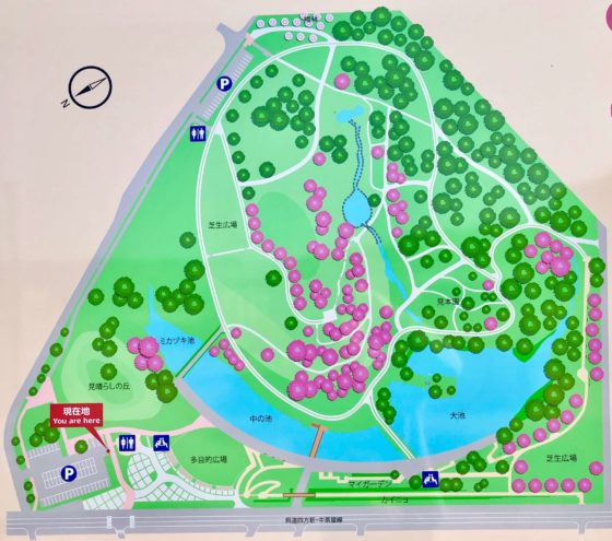 呉羽山公園 都市緑化植物園の見取り図