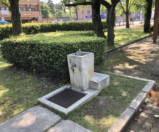 正面広場の水道