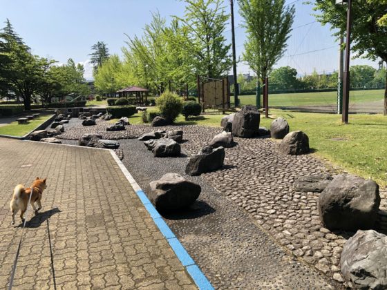 五福公園の池