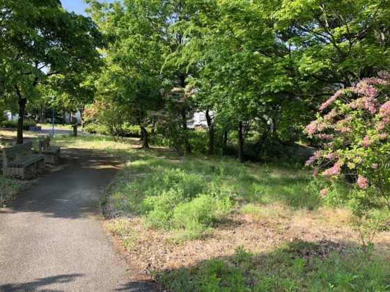園内の通路