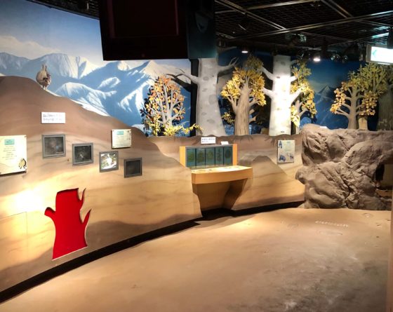 地下回廊の展示
