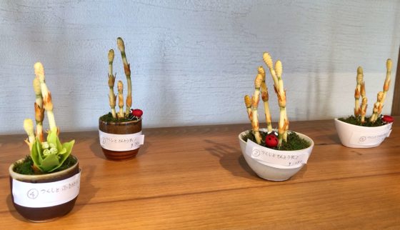 ギャラリーの作品