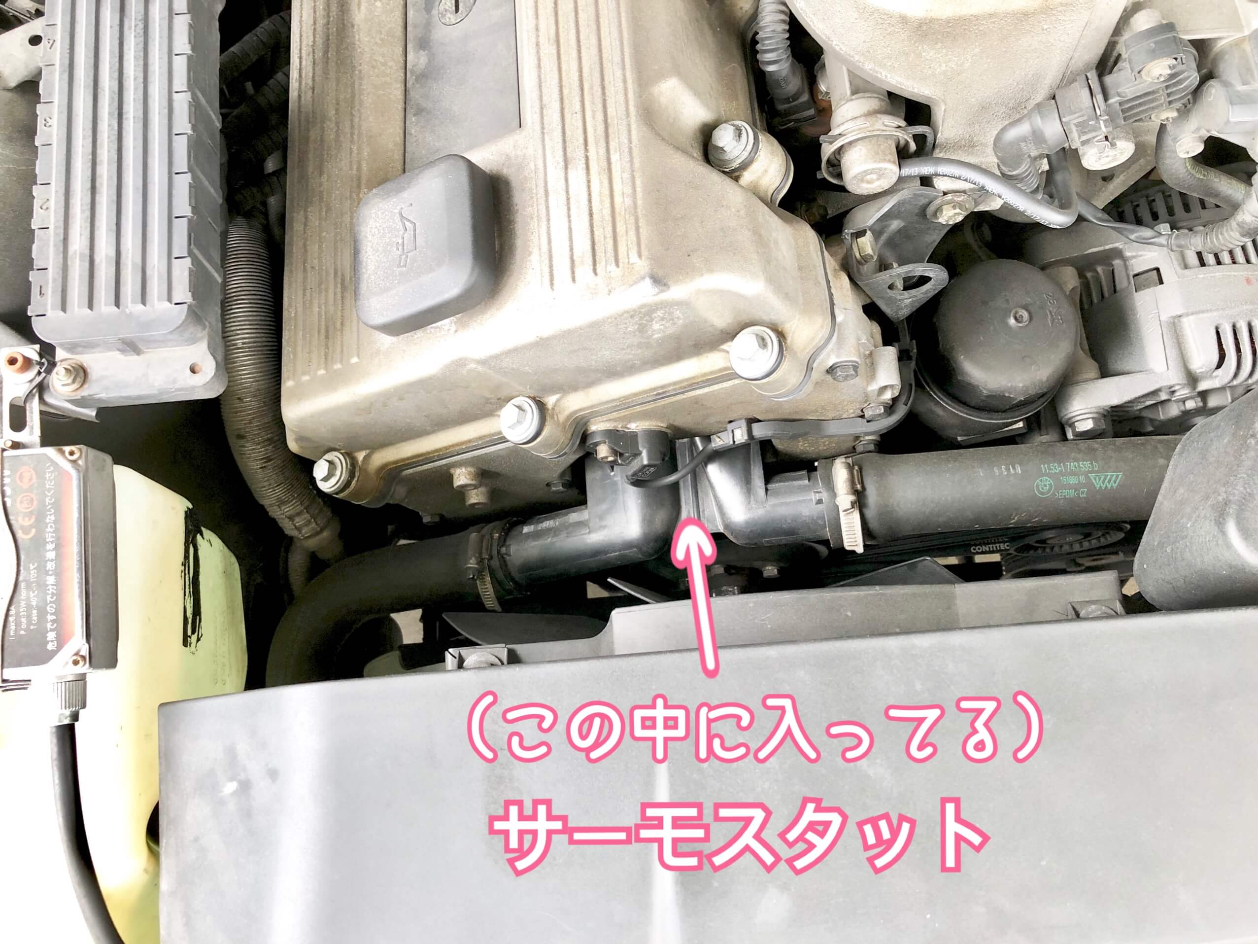 詳細写真付き Bmw Z3のサーモスタット ファンクラッチ カップリングの交換方法 富山のランチ お出かけ 遊びのおすすめ情報 ココなび