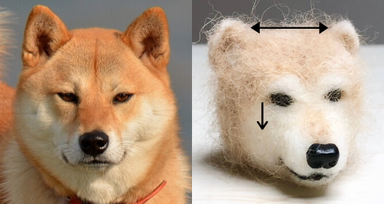 愛犬の毛を使った羊毛フェルトの作り方 柴犬を作ろうとしたら謎の動物を生み出しました 富山のランチ お出かけ 遊びのおすすめ情報 ココなび