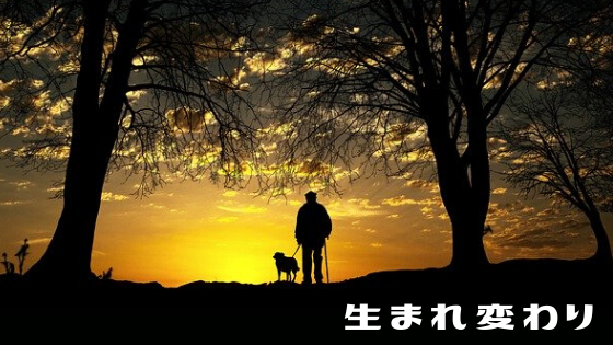 人間は死後平均4年5ヶ月で生まれ変わる 犬はもっと早く生まれ変わる 富山のランチ お出かけ 遊びのおすすめ情報 ココなび